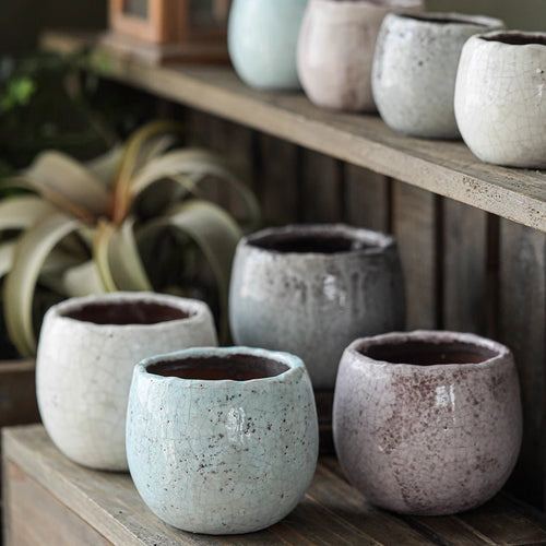 Crackle Glazed Succulent Pot Randomly Picked Set of 5