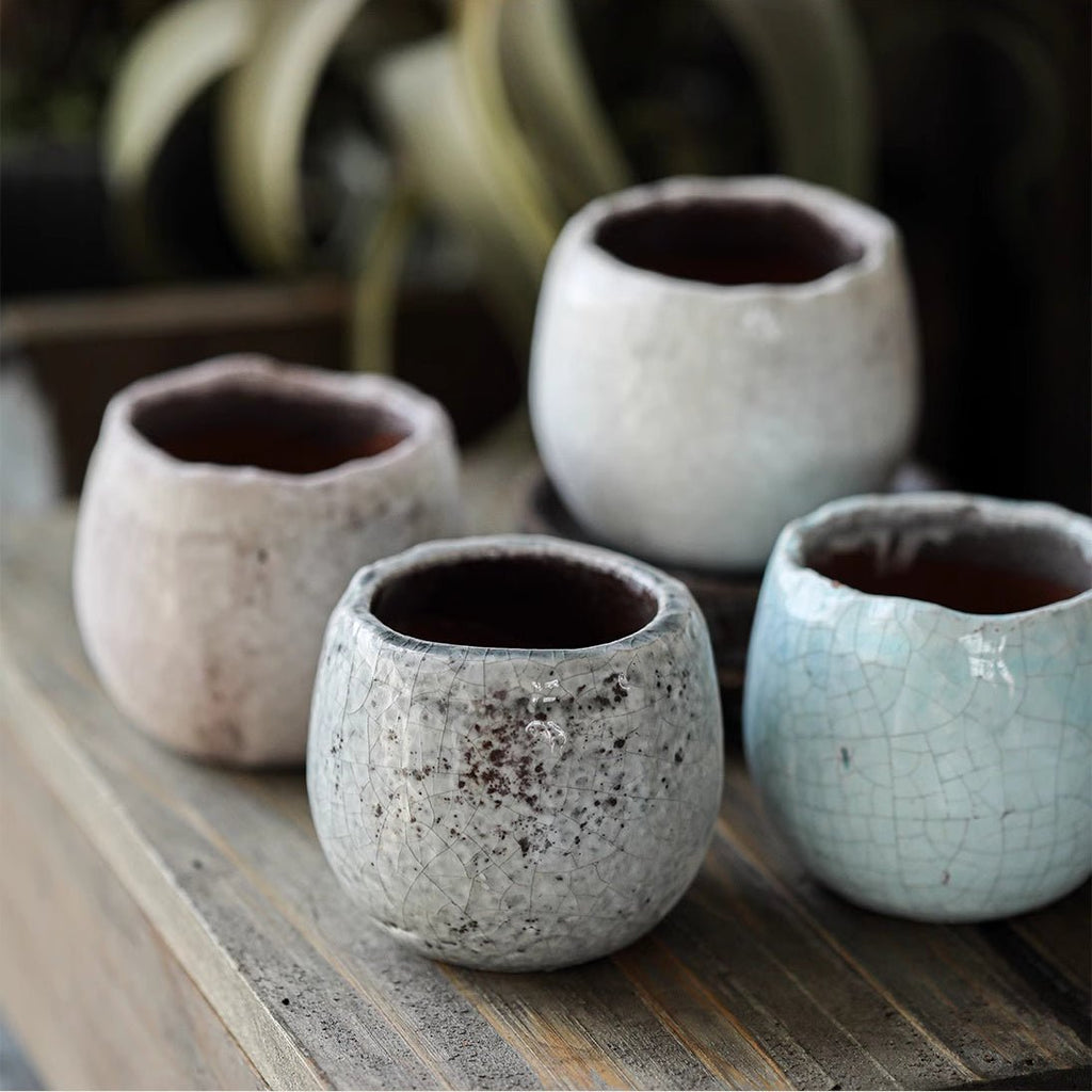 Crackle Glazed Succulent Pot Randomly Picked Set of 5